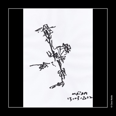 Clara-Maida Rhizommes 7