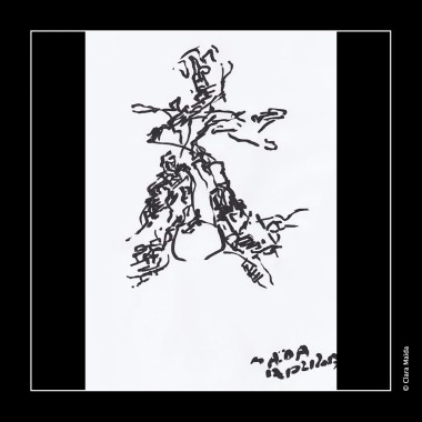 Clara-Maida Rhizommes 8