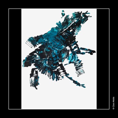 Clara-Maida Anim-a 7