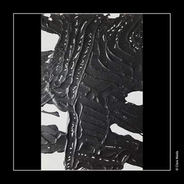 Clara-Maida Etude-pour-Kinem-a-nima 7