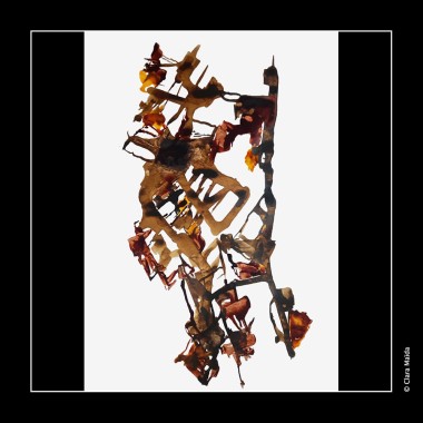 Clara-Maida Line-a-viva 11