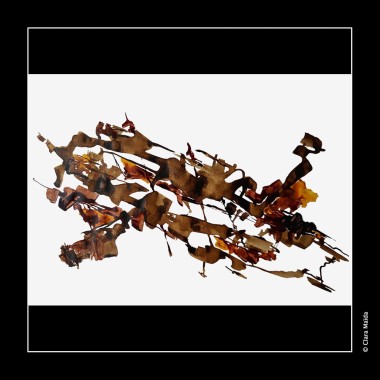 Clara-Maida Line-a-viva 3